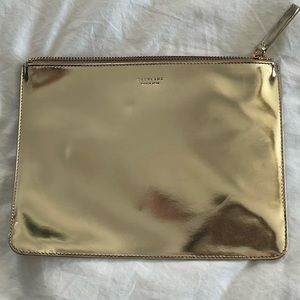 Everlane Glossy Gold Leather Pouch